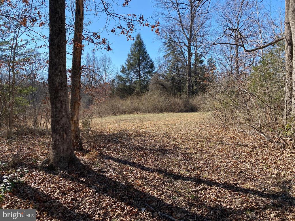 0 WHITES FARM LANE, CULPEPER, Virginia 22701, ,Land,0 WHITES FARM LANE,VACU2013584 MLS # VACU2013584
