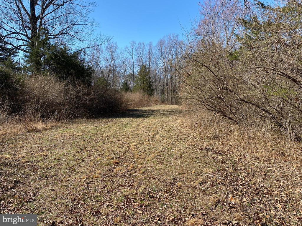 0 WHITES FARM LANE, CULPEPER, Virginia 22701, ,Land,0 WHITES FARM LANE,VACU2013584 MLS # VACU2013584
