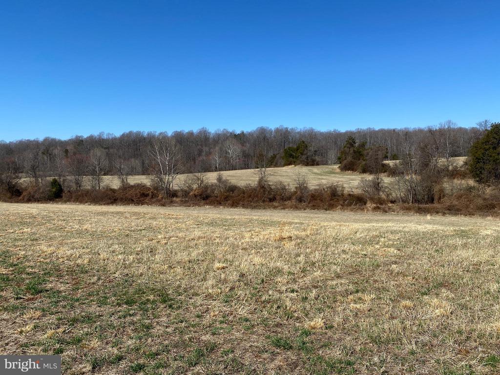 0 WHITES FARM LANE, CULPEPER, Virginia 22701, ,Land,0 WHITES FARM LANE,VACU2013584 MLS # VACU2013584