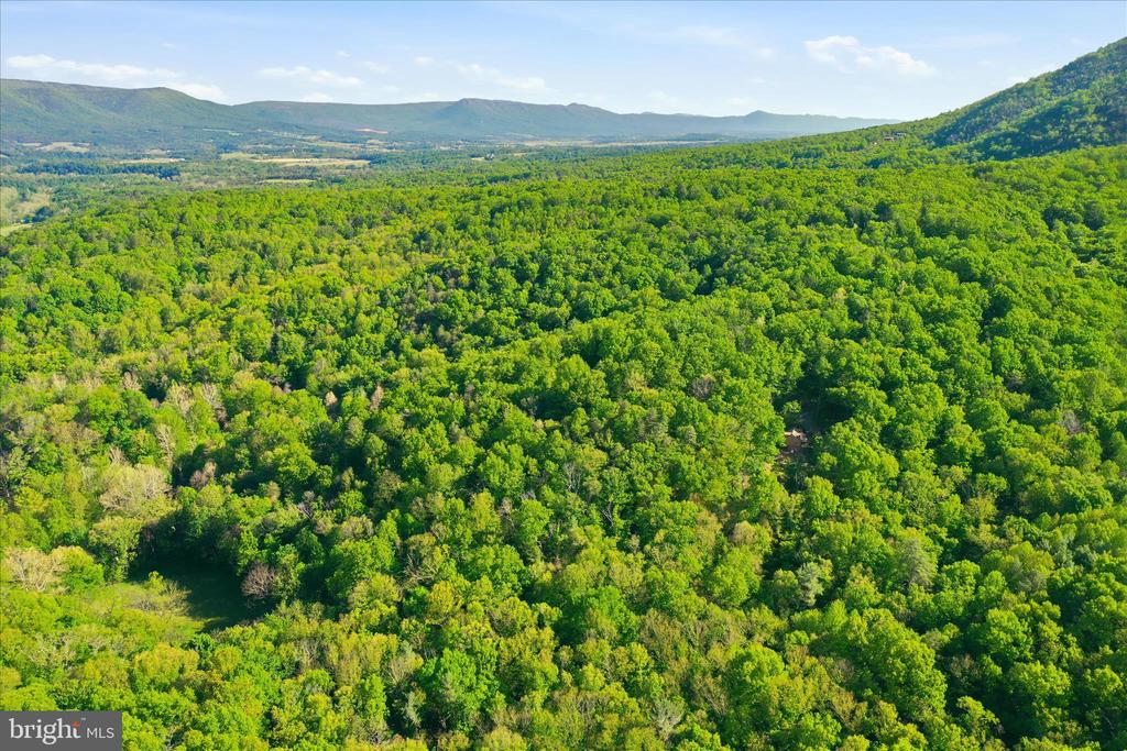 PARK VIEW LANE, SHENANDOAH, Virginia 22849, ,Land,PARK VIEW LANE,VAPA2006352 MLS # VAPA2006352