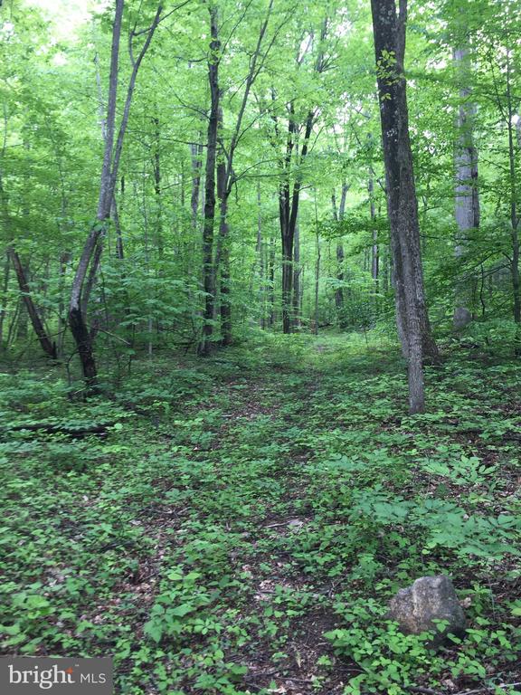 0 PADUA LANE, SPERRYVILLE, Virginia 22740, ,Land,0 PADUA LANE,VARP2002646 MLS # VARP2002646