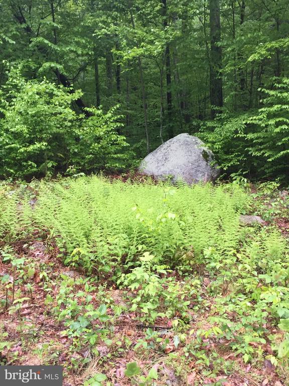 0 PADUA LANE, SPERRYVILLE, Virginia 22740, ,Land,0 PADUA LANE,VARP2002646 MLS # VARP2002646