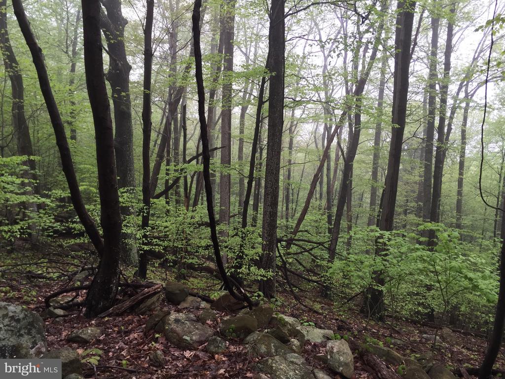 0 PADUA LANE, SPERRYVILLE, Virginia 22740, ,Land,0 PADUA LANE,VARP2002646 MLS # VARP2002646