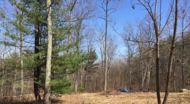 0 PADUA LANE, SPERRYVILLE, Virginia 22740, ,Land,0 PADUA LANE,VARP2002646 MLS # VARP2002646