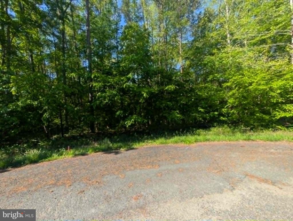 BELMONT LN, LOUISA, Virginia 23093, ,Land,BELMONT LN,VALA2009854 MLS # VALA2009854