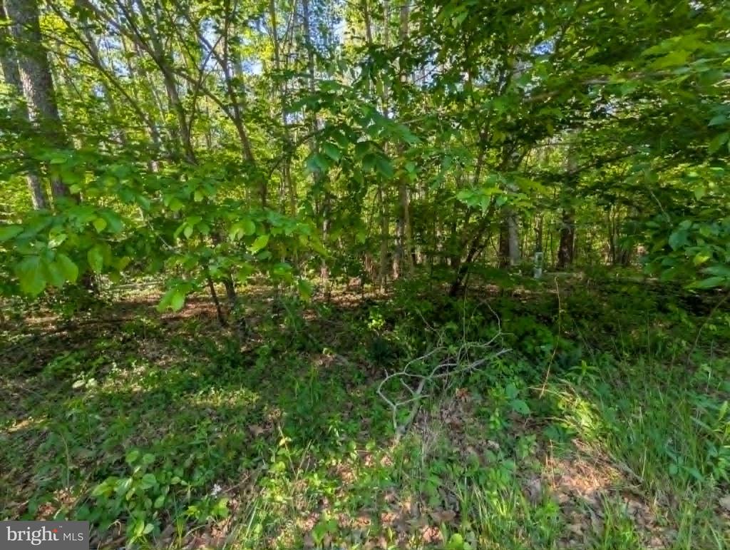 BELMONT LN, LOUISA, Virginia 23093, ,Land,BELMONT LN,VALA2009854 MLS # VALA2009854