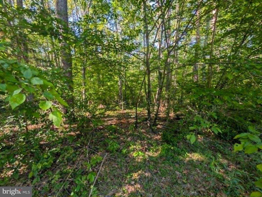 BELMONT LN, LOUISA, Virginia 23093, ,Land,BELMONT LN,VALA2009854 MLS # VALA2009854