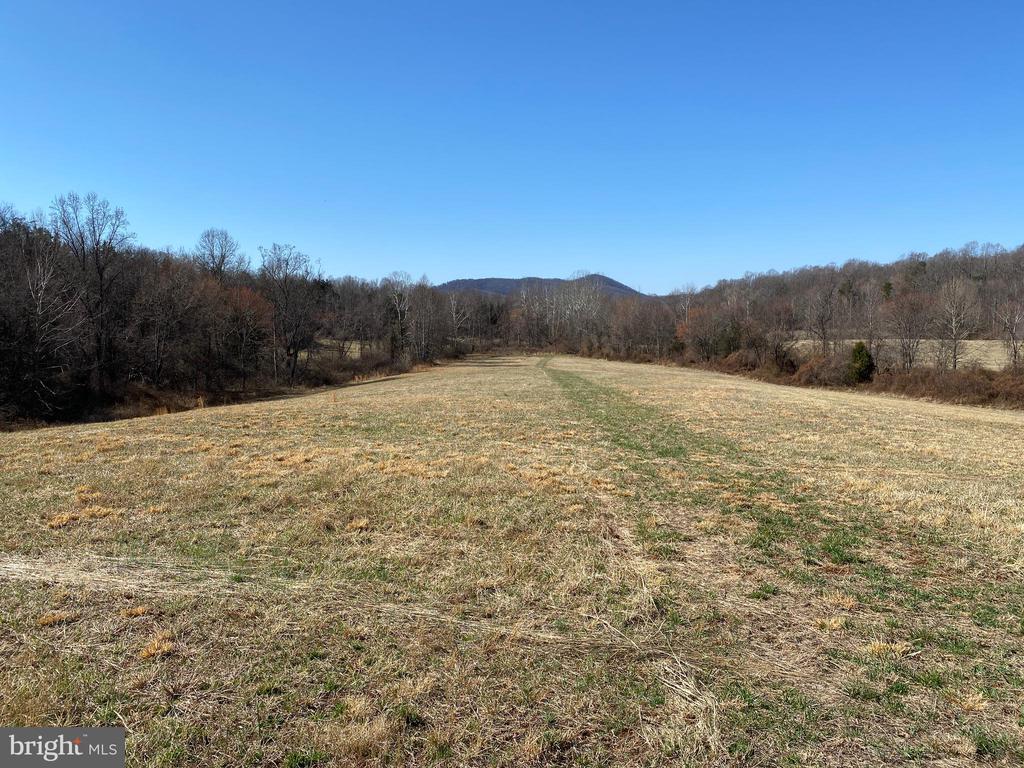 0 WHITES FARM LANE RESIDUE, CULPEPER, Virginia 22701, ,Land,0 WHITES FARM LANE RESIDUE,VACU2013582 MLS # VACU2013582