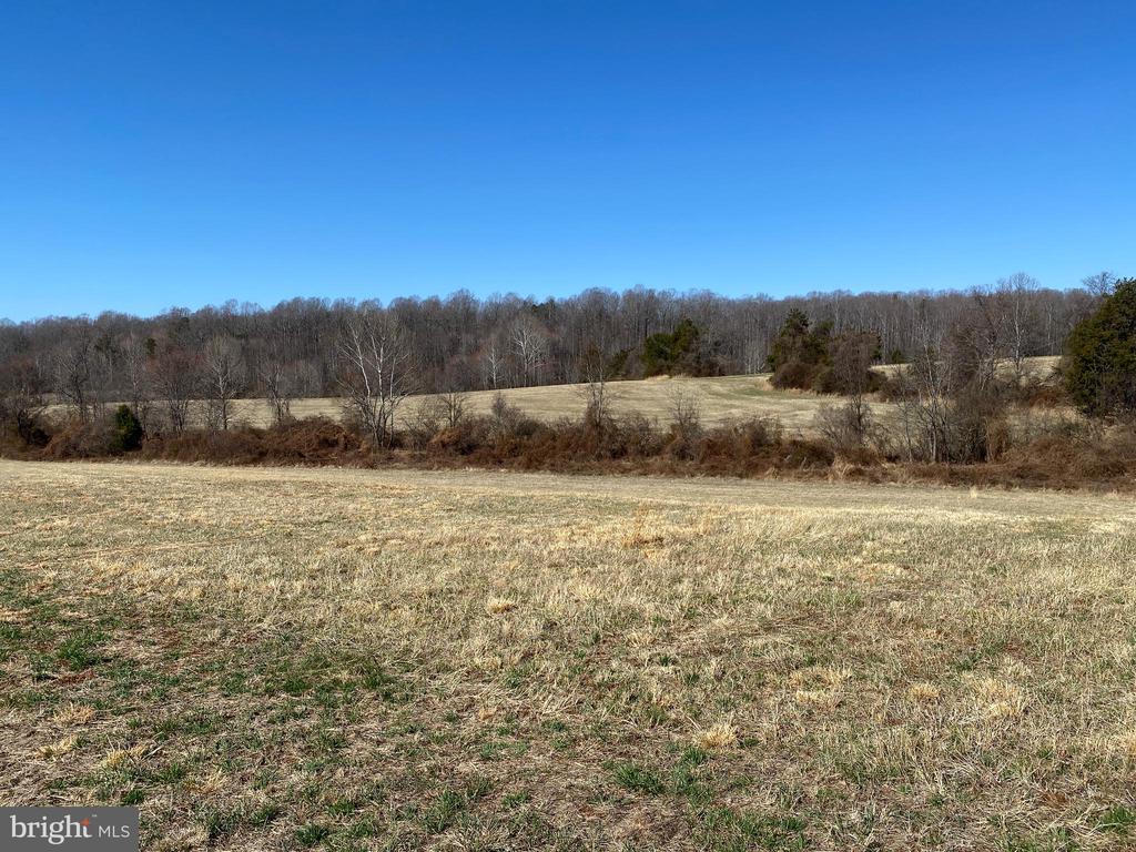 0 WHITES FARM LANE RESIDUE, CULPEPER, Virginia 22701, ,Land,0 WHITES FARM LANE RESIDUE,VACU2013582 MLS # VACU2013582