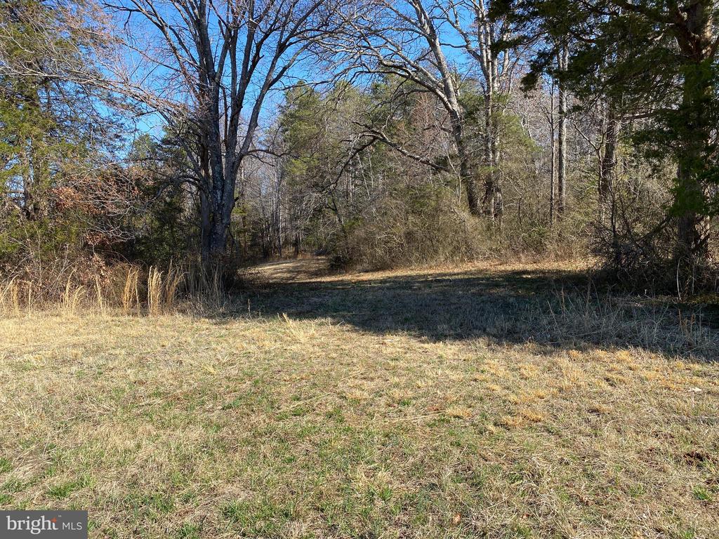 0 WHITES FARM LANE RESIDUE, CULPEPER, Virginia 22701, ,Land,0 WHITES FARM LANE RESIDUE,VACU2013582 MLS # VACU2013582