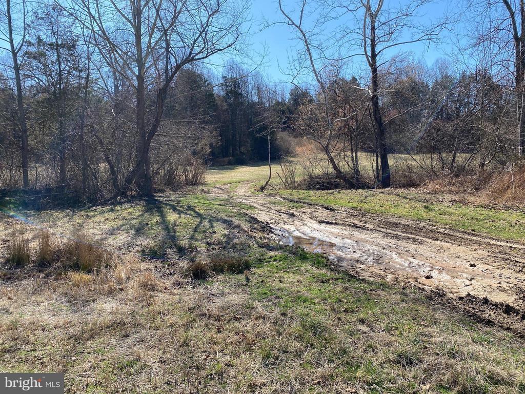 0 WHITES FARM LANE RESIDUE, CULPEPER, Virginia 22701, ,Land,0 WHITES FARM LANE RESIDUE,VACU2013582 MLS # VACU2013582