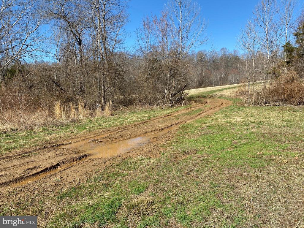 0 WHITES FARM LANE RESIDUE, CULPEPER, Virginia 22701, ,Land,0 WHITES FARM LANE RESIDUE,VACU2013582 MLS # VACU2013582