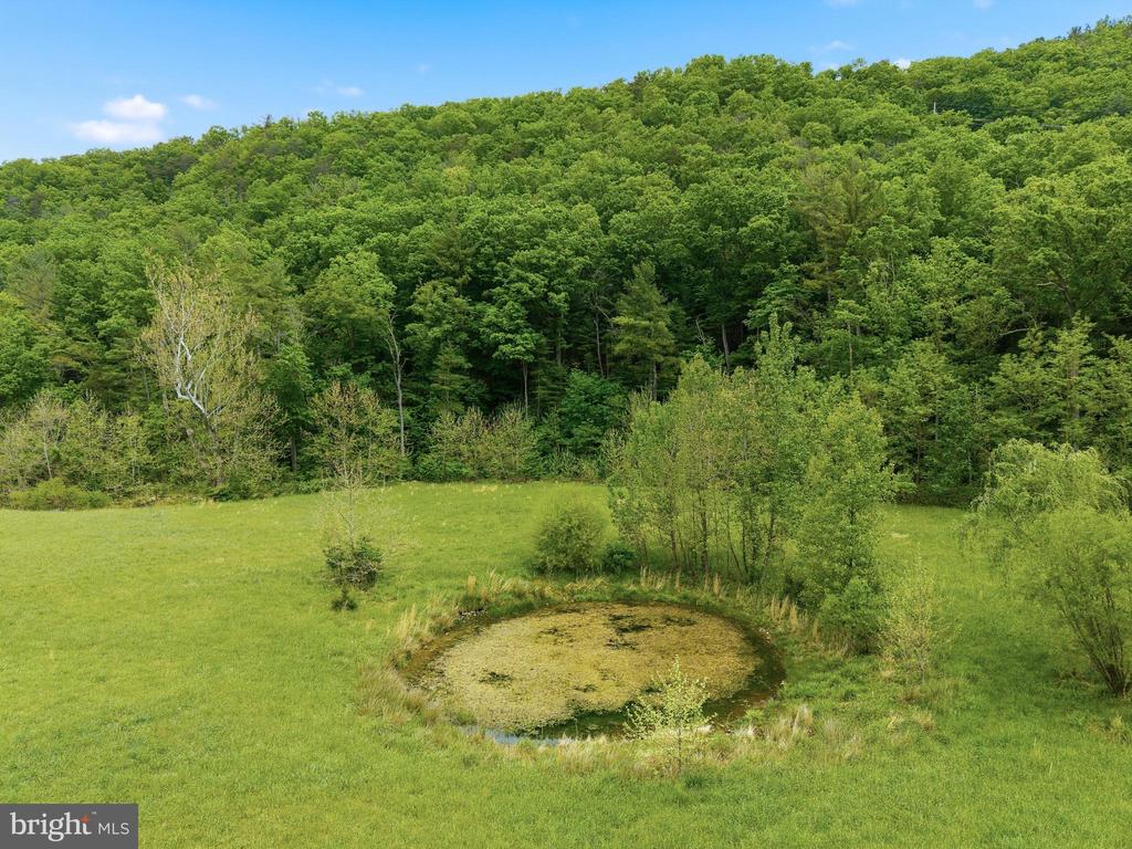 2645 DRY RUN RD, LURAY, Virginia 22835, 5 Bedrooms Bedrooms, ,2 BathroomsBathrooms,Residential,2645 DRY RUN RD,VAPA2006294 MLS # VAPA2006294