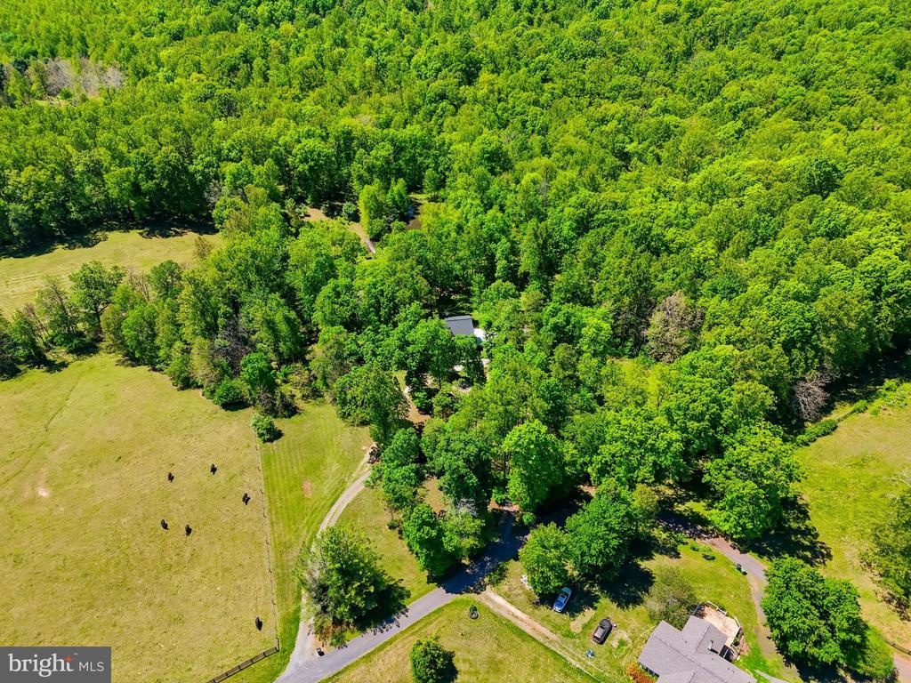 12638 WALNUT LN, CULPEPER, Virginia 22701, 4 Bedrooms Bedrooms, ,3 BathroomsBathrooms,Residential,12638 WALNUT LN,VACU2013622 MLS # VACU2013622