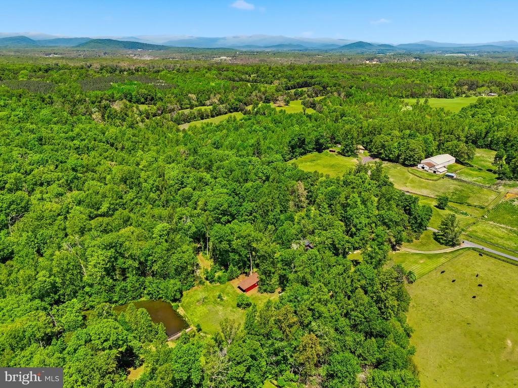 12638 WALNUT LN, CULPEPER, Virginia 22701, 4 Bedrooms Bedrooms, ,3 BathroomsBathrooms,Residential,12638 WALNUT LN,VACU2013622 MLS # VACU2013622