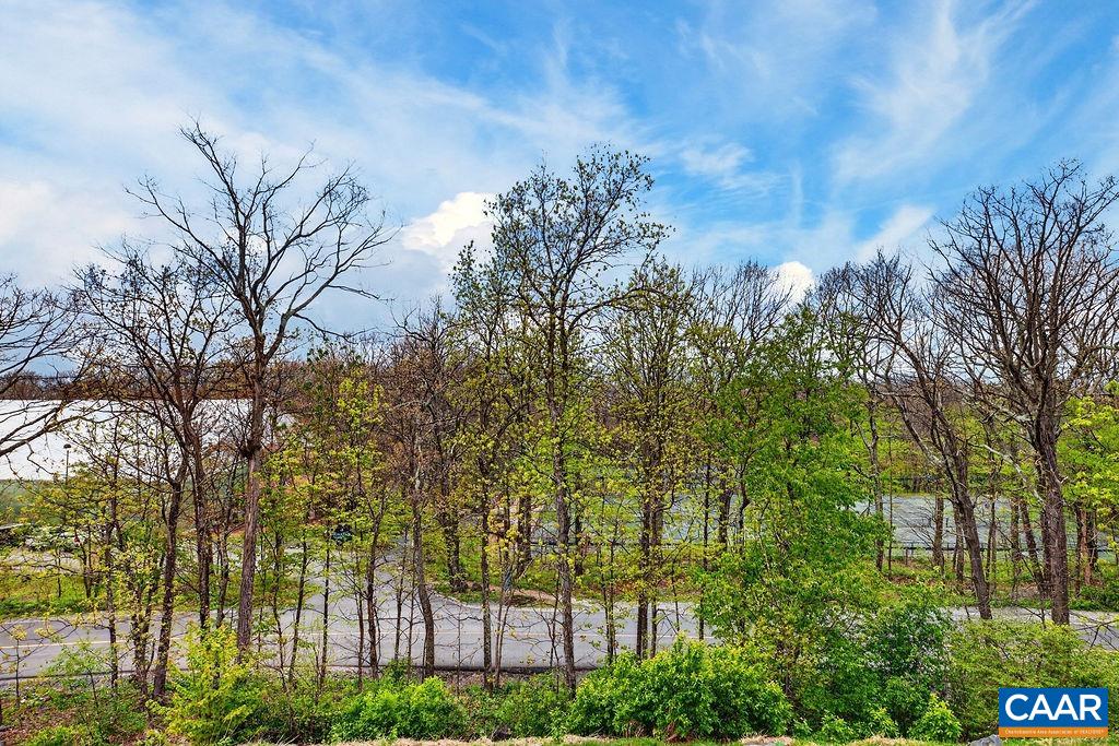 3232 NORTH RIDGE CONDOS, ROSELAND, Virginia 22967, 2 Bedrooms Bedrooms, ,2 BathroomsBathrooms,Residential,3232 NORTH RIDGE CONDOS,676995 MLS # 676995