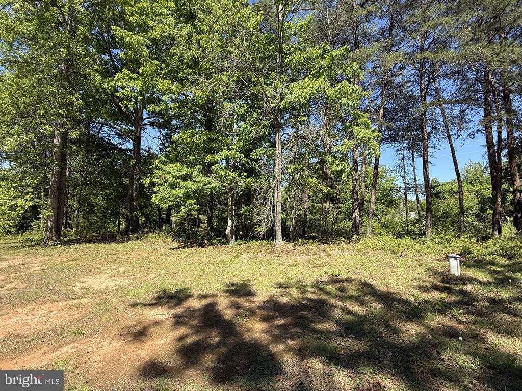 10374 TOWER RD, UNIONVILLE, Virginia 22567, 3 Bedrooms Bedrooms, ,2 BathroomsBathrooms,Residential,10374 TOWER RD,VAOR2014140 MLS # VAOR2014140