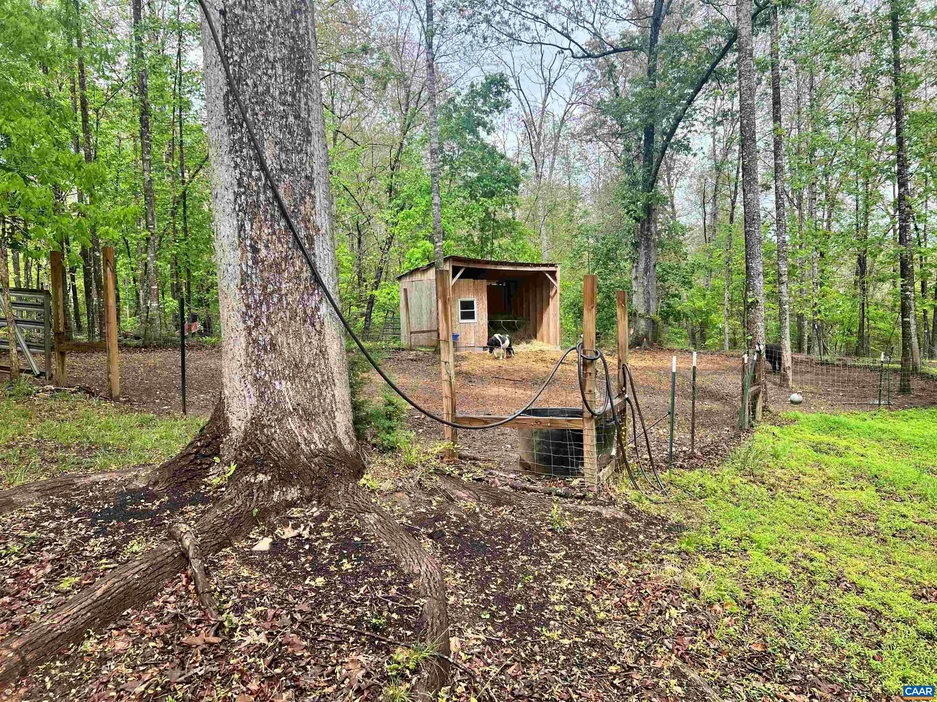 2441 TISDALE RD, BARBOURSVILLE, Virginia 22923, 3 Bedrooms Bedrooms, ,2 BathroomsBathrooms,Residential,2441 TISDALE RD,677013 MLS # 677013