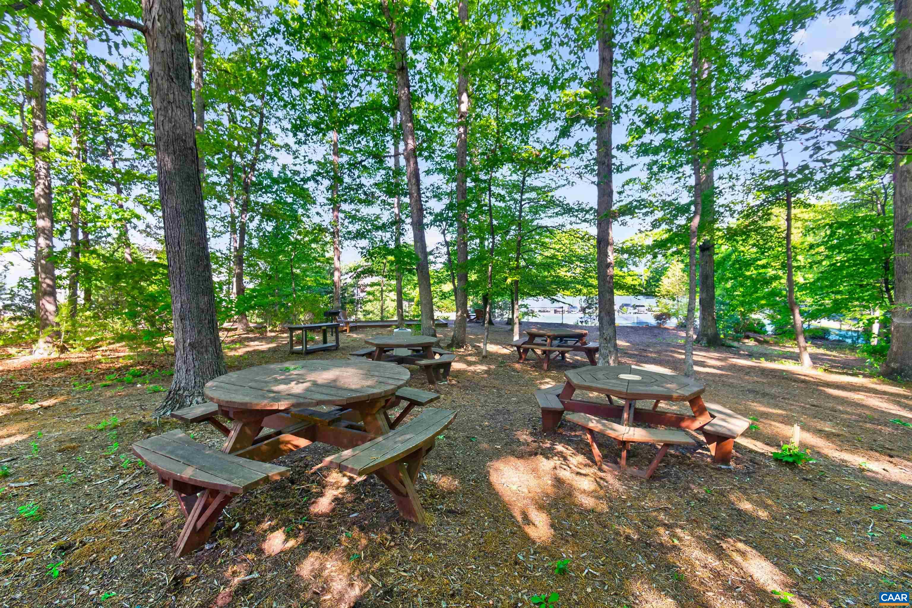 64 BLUE RIDGE TER, ZION CROSSROADS, Virginia 22942, 5 Bedrooms Bedrooms, ,4 BathroomsBathrooms,Residential,64 BLUE RIDGE TER,677017 MLS # 677017