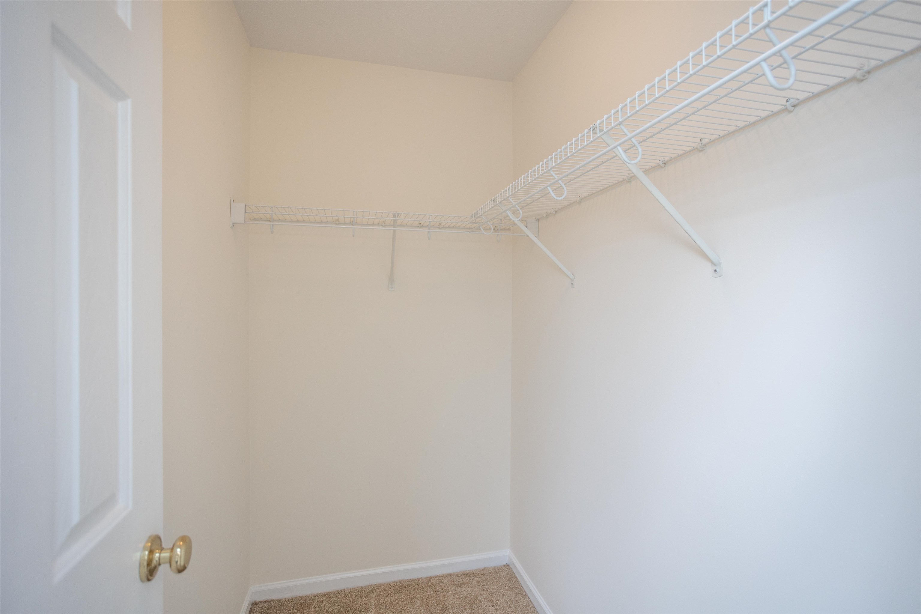 2865 TAYLOR SPRING LN, ROCKINGHAM, Virginia 22801, 3 Bedrooms Bedrooms, ,2 BathroomsBathrooms,Residential,2865 TAYLOR SPRING LN,677032 MLS # 677032