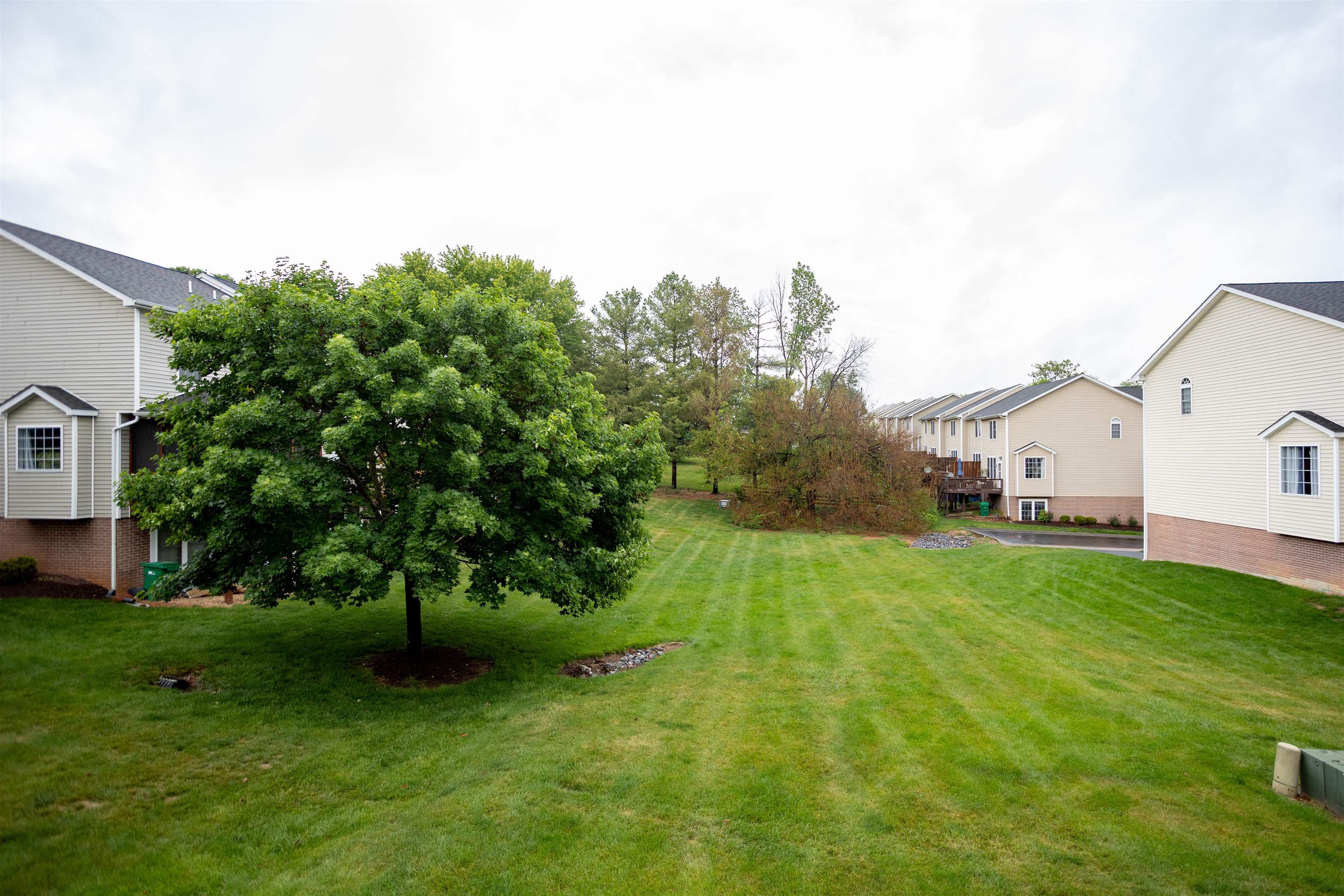 2865 TAYLOR SPRING LN, ROCKINGHAM, Virginia 22801, 3 Bedrooms Bedrooms, ,2 BathroomsBathrooms,Residential,2865 TAYLOR SPRING LN,677032 MLS # 677032