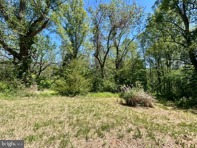 23060 LANEWOOD RD, ORANGE, Virginia 22960, ,Land,23060 LANEWOOD RD,VAOR2014158 MLS # VAOR2014158
