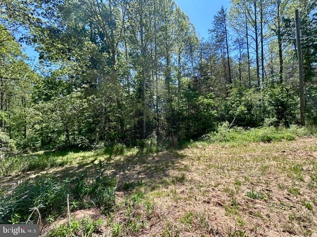 23060 LANEWOOD RD, ORANGE, Virginia 22960, ,Land,23060 LANEWOOD RD,VAOR2014158 MLS # VAOR2014158