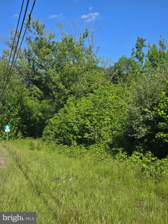 4336 MASSAPONAX CHURCH RD, FREDERICKSBURG, Virginia 22408, ,Land,4336 MASSAPONAX CHURCH RD,VASP2041860 MLS # VASP2041860