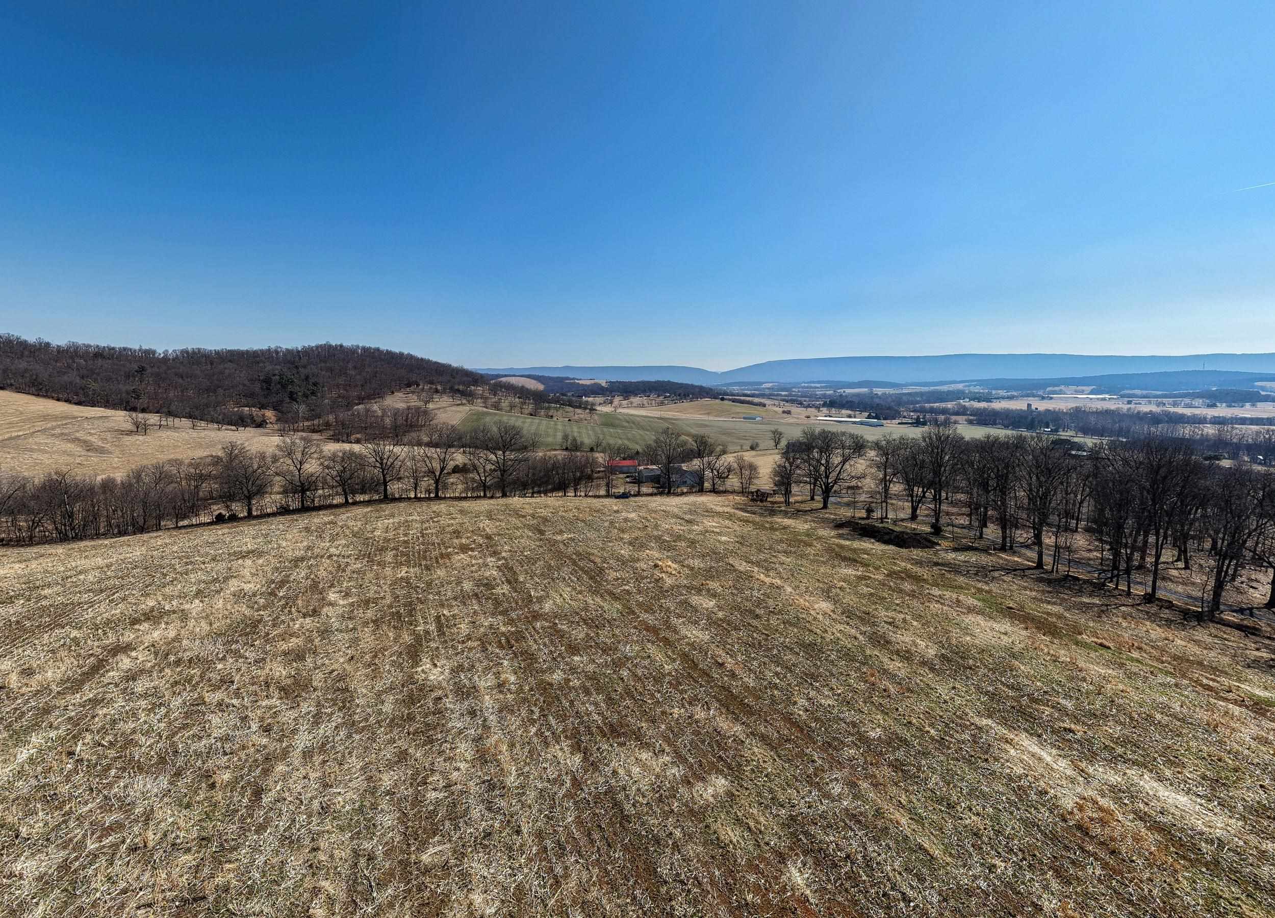 0 NEIGHBORS LN, TIMBERVILLE, Virginia 22853, ,Land,0 NEIGHBORS LN,673882 MLS # 673882