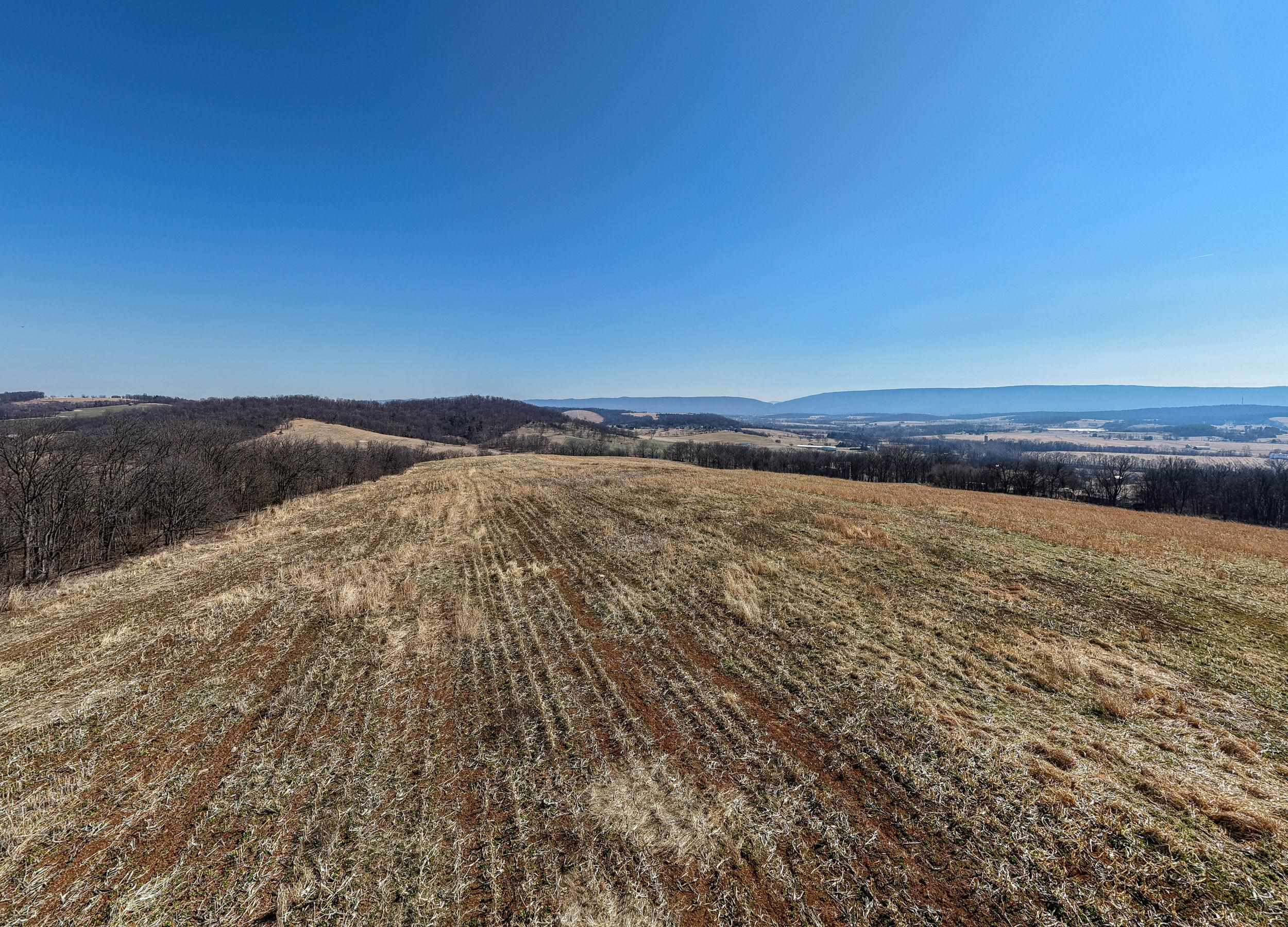 0 NEIGHBORS LN, TIMBERVILLE, Virginia 22853, ,Land,0 NEIGHBORS LN,673882 MLS # 673882
