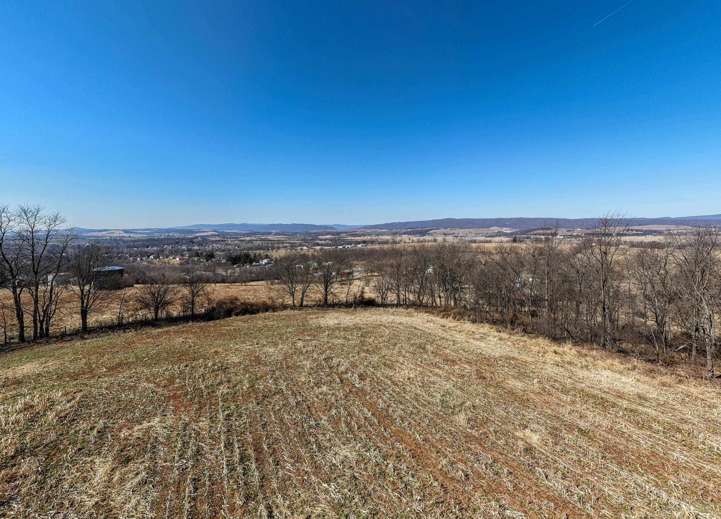 0 NEIGHBORS LN, TIMBERVILLE, Virginia 22853, ,Land,0 NEIGHBORS LN,673882 MLS # 673882