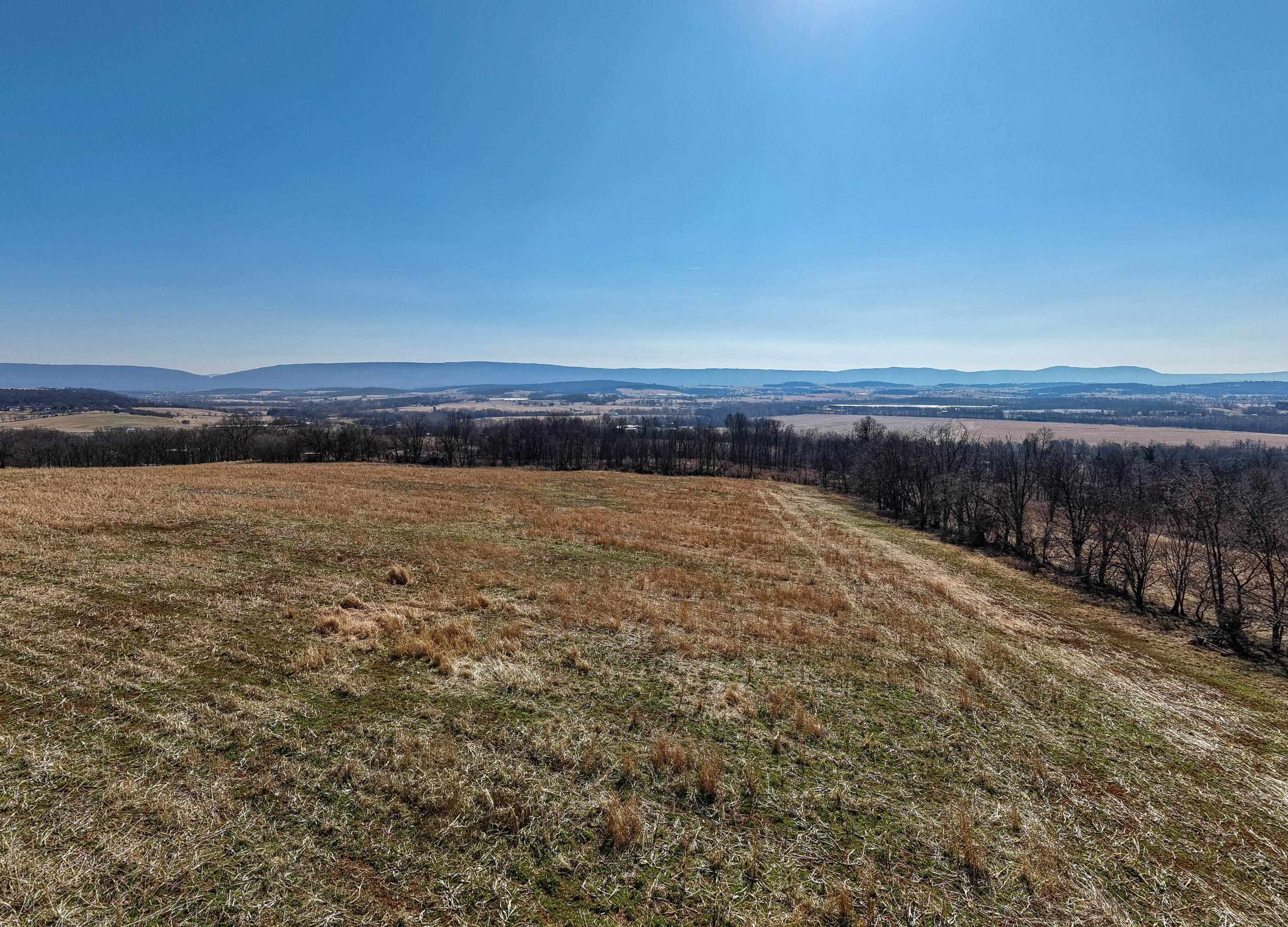 0 NEIGHBORS LN, TIMBERVILLE, Virginia 22853, ,Land,0 NEIGHBORS LN,673882 MLS # 673882