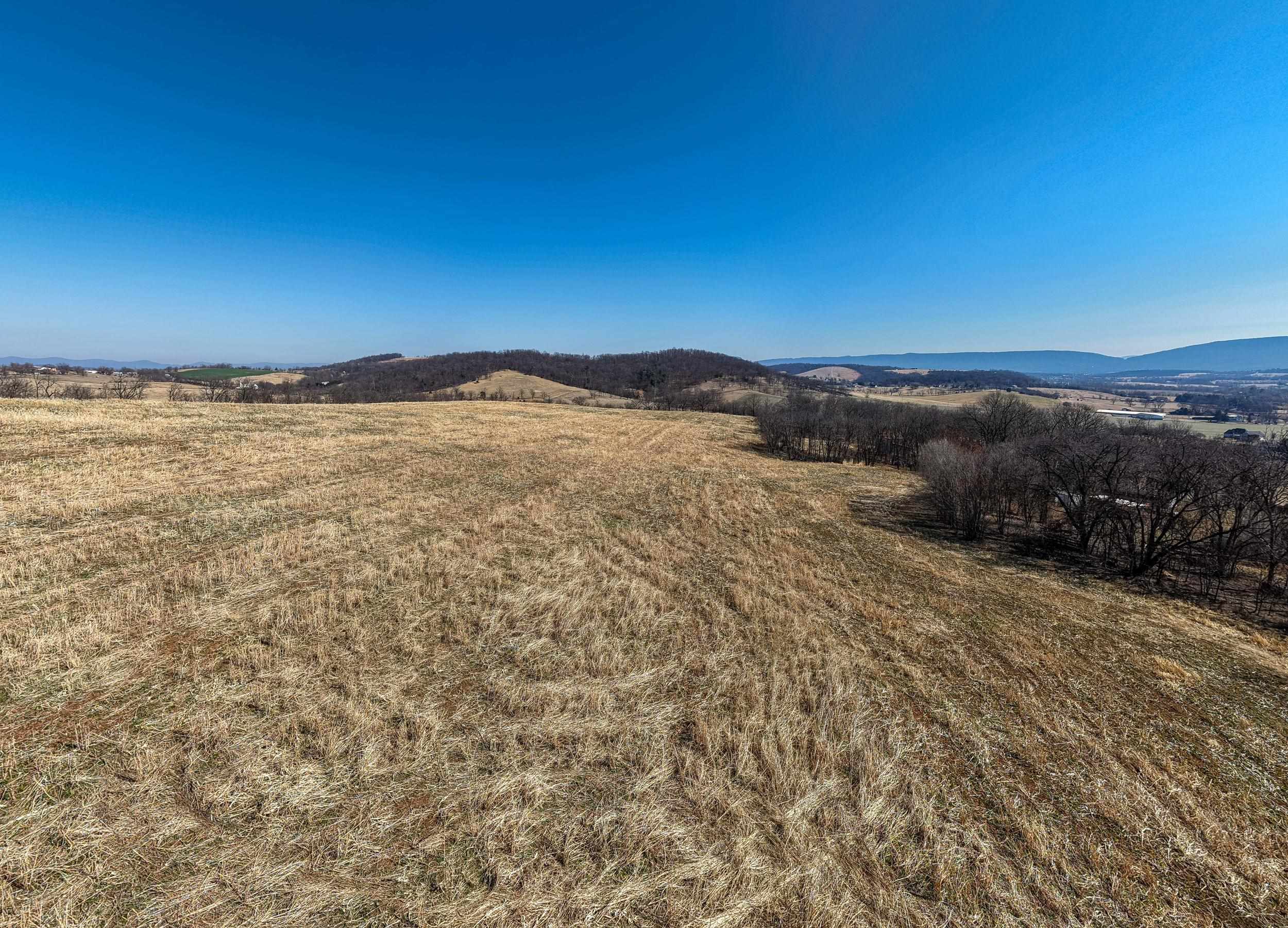 0 NEIGHBORS LN, TIMBERVILLE, Virginia 22853, ,Land,0 NEIGHBORS LN,673882 MLS # 673882