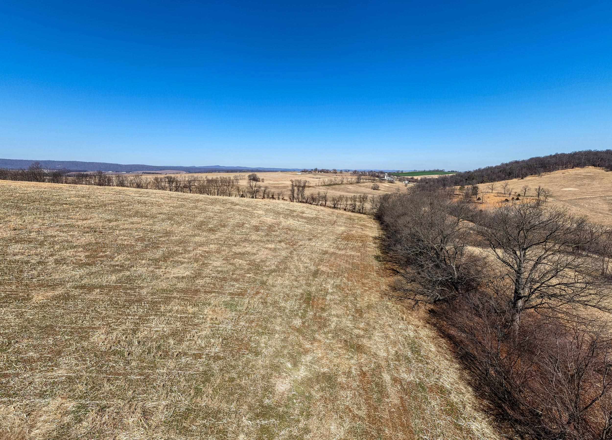 0 NEIGHBORS LN, TIMBERVILLE, Virginia 22853, ,Land,0 NEIGHBORS LN,673882 MLS # 673882