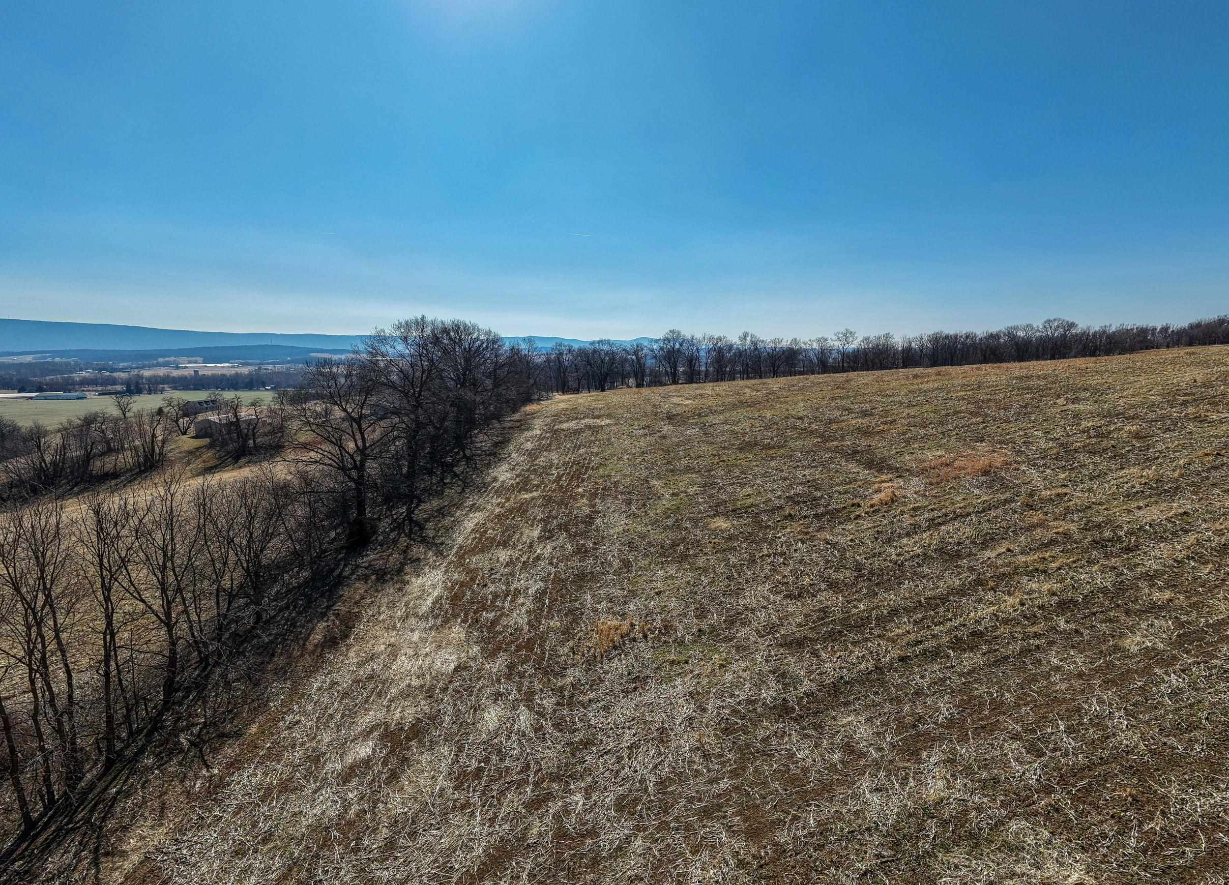 0 NEIGHBORS LN, TIMBERVILLE, Virginia 22853, ,Land,0 NEIGHBORS LN,673882 MLS # 673882