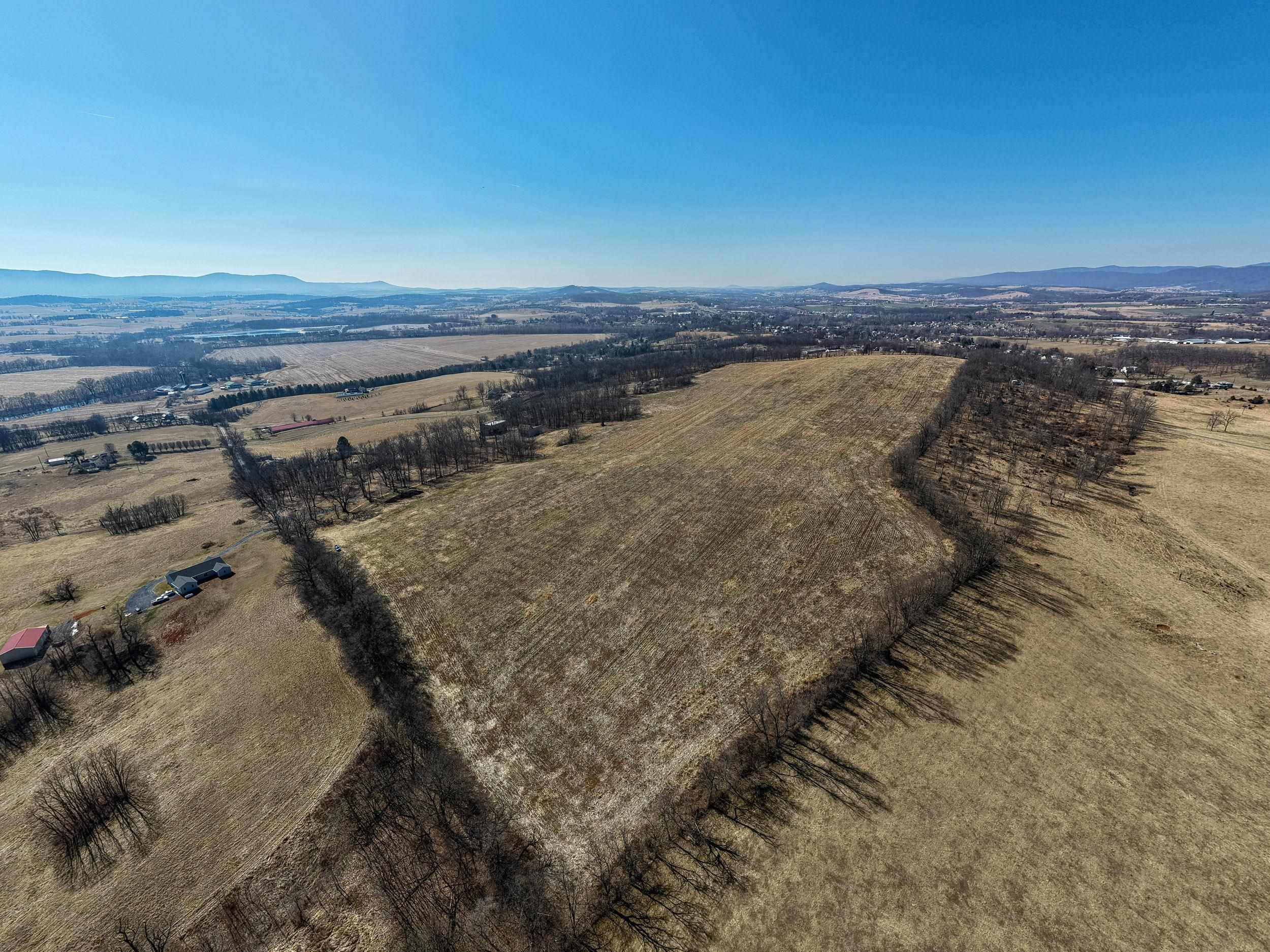 0 NEIGHBORS LN, TIMBERVILLE, Virginia 22853, ,Land,0 NEIGHBORS LN,673882 MLS # 673882
