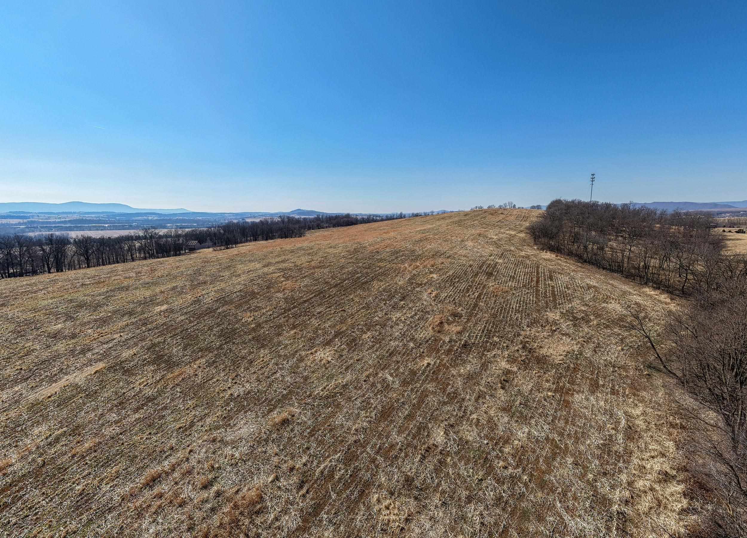 0 NEIGHBORS LN, TIMBERVILLE, Virginia 22853, ,Land,0 NEIGHBORS LN,673882 MLS # 673882