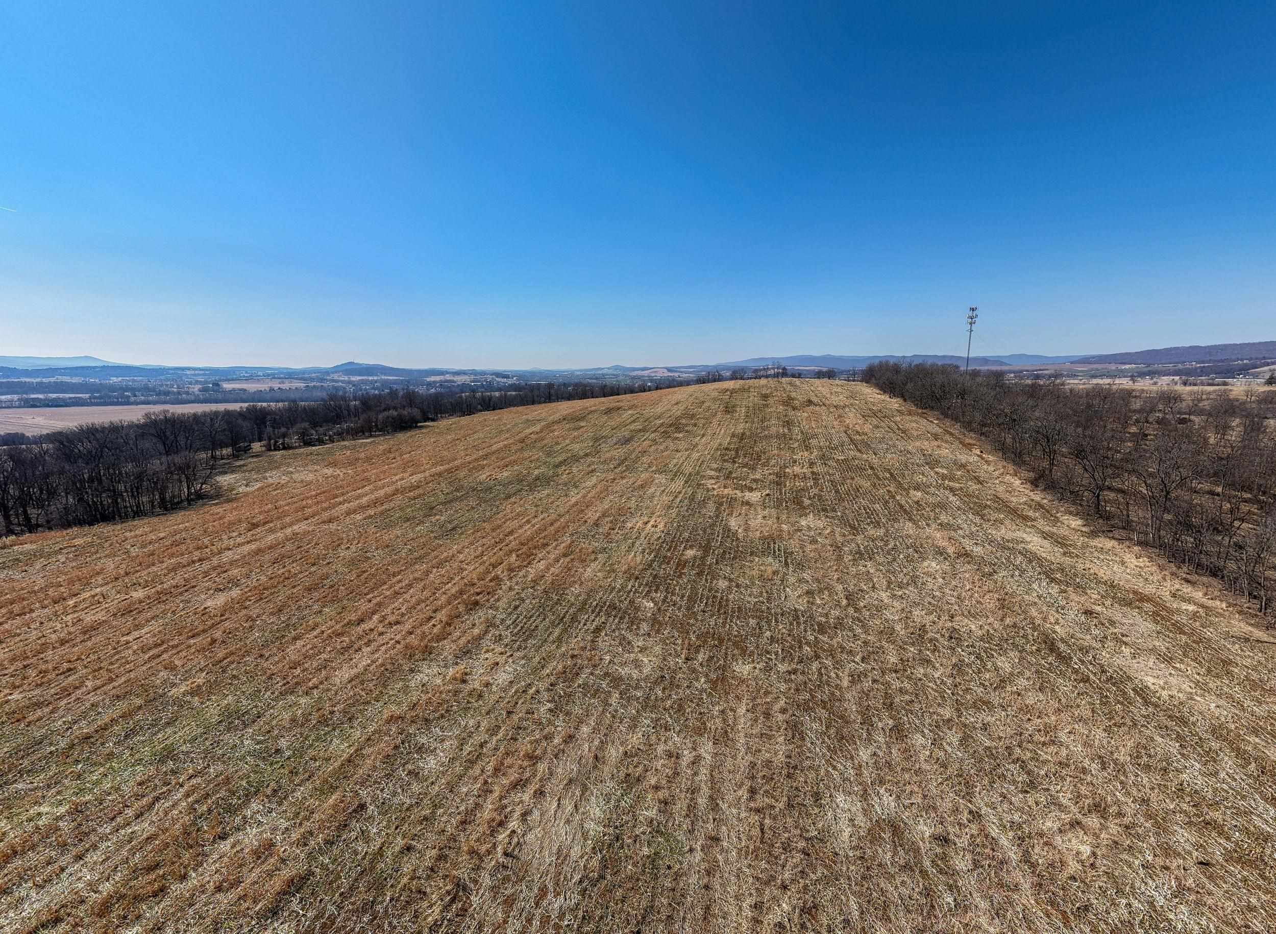 0 NEIGHBORS LN, TIMBERVILLE, Virginia 22853, ,Land,0 NEIGHBORS LN,673882 MLS # 673882