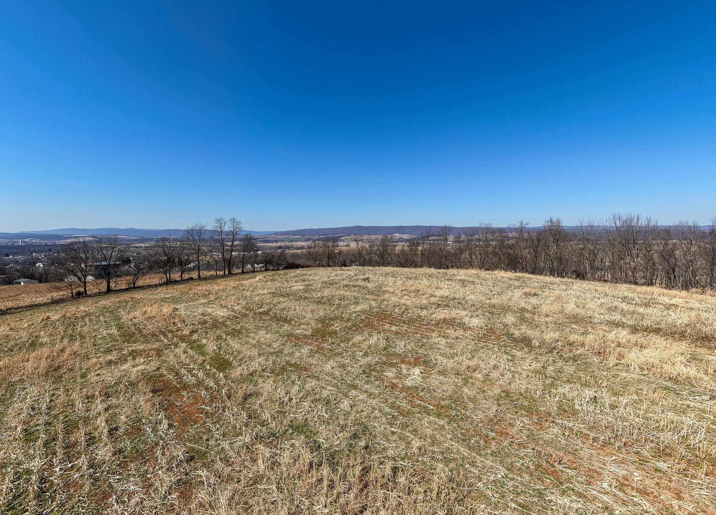 0 NEIGHBORS LN, TIMBERVILLE, Virginia 22853, ,Land,0 NEIGHBORS LN,673882 MLS # 673882