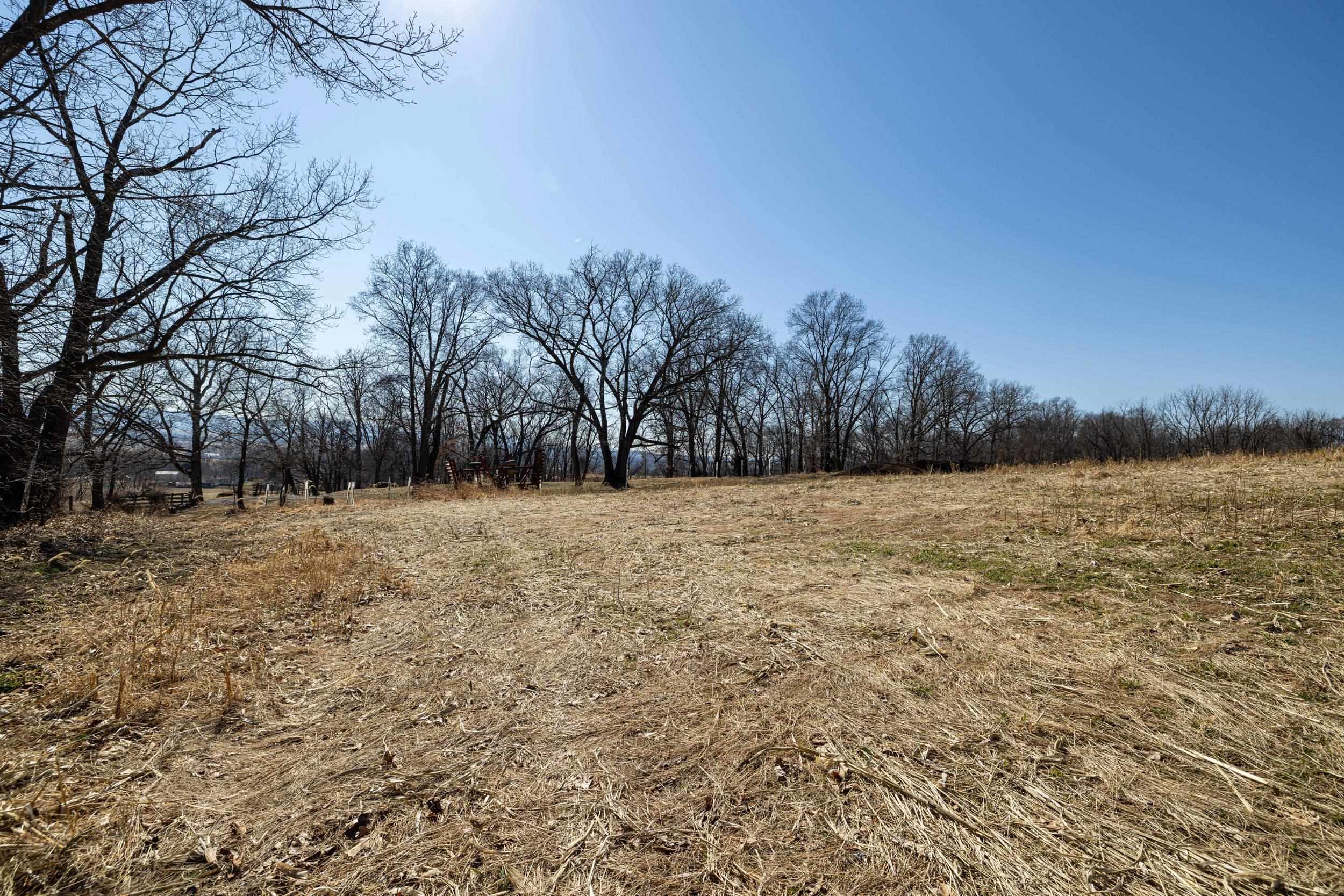 0 NEIGHBORS LN, TIMBERVILLE, Virginia 22853, ,Land,0 NEIGHBORS LN,673882 MLS # 673882