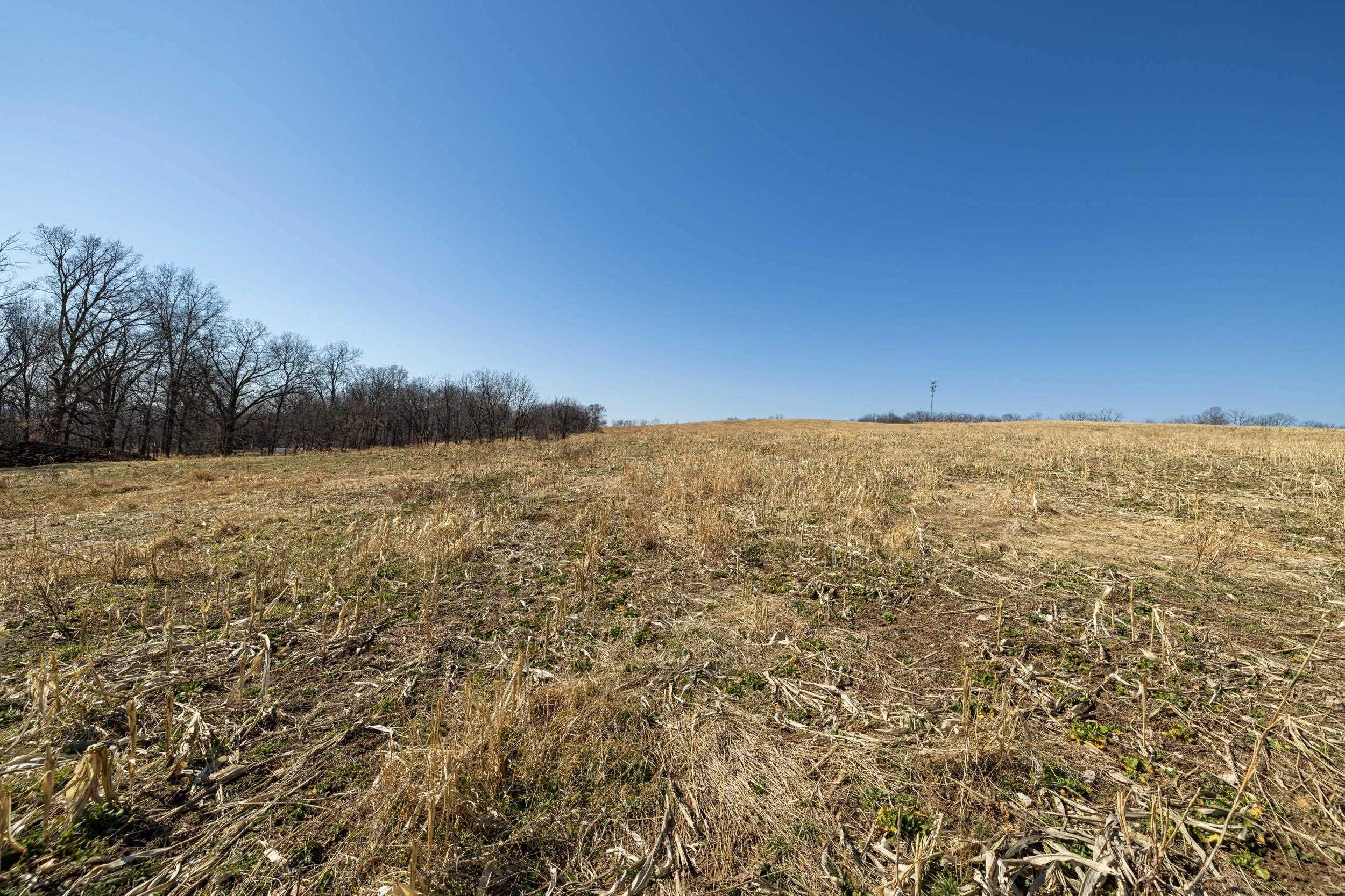 0 NEIGHBORS LN, TIMBERVILLE, Virginia 22853, ,Land,0 NEIGHBORS LN,673882 MLS # 673882