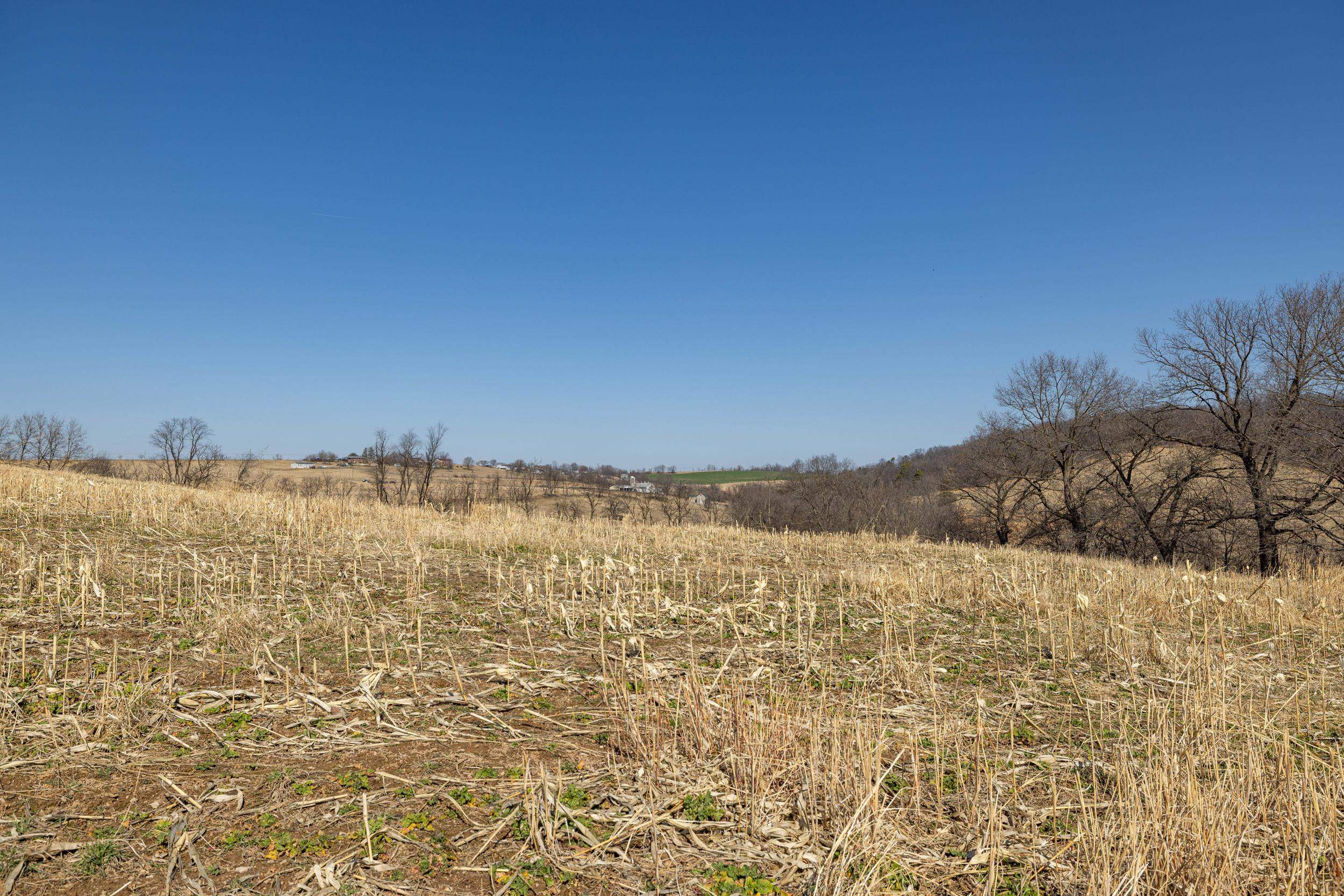 0 NEIGHBORS LN, TIMBERVILLE, Virginia 22853, ,Land,0 NEIGHBORS LN,673882 MLS # 673882