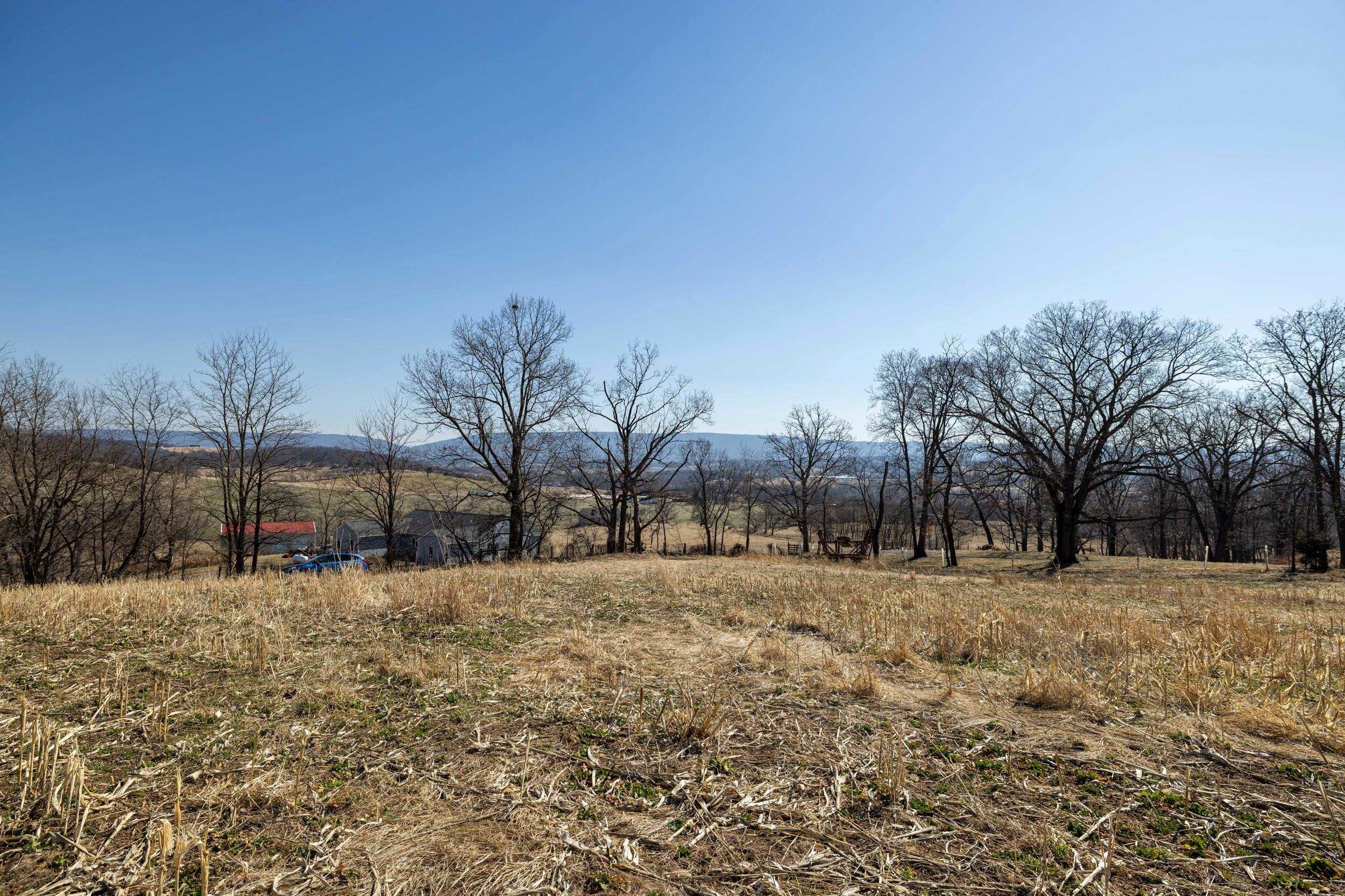 0 NEIGHBORS LN, TIMBERVILLE, Virginia 22853, ,Land,0 NEIGHBORS LN,673882 MLS # 673882