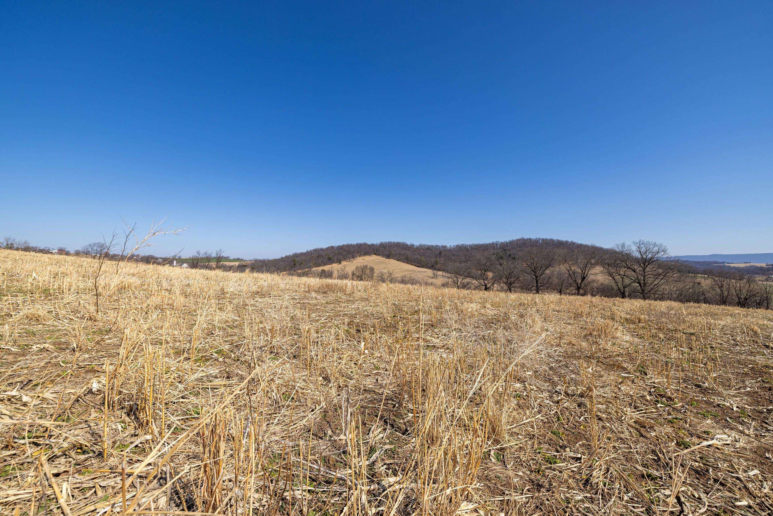 0 NEIGHBORS LN, TIMBERVILLE, Virginia 22853, ,Land,0 NEIGHBORS LN,673882 MLS # 673882