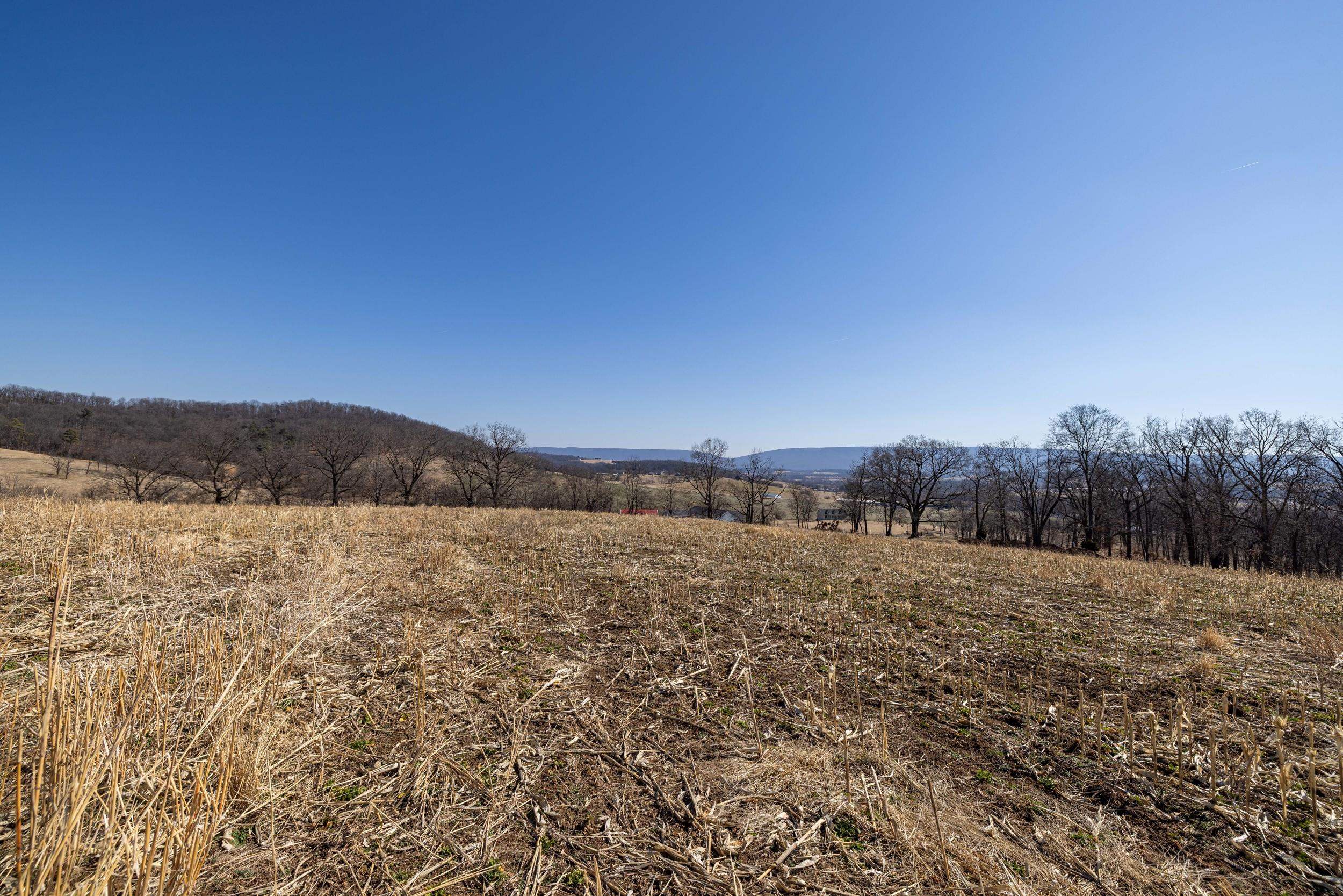 0 NEIGHBORS LN, TIMBERVILLE, Virginia 22853, ,Land,0 NEIGHBORS LN,673882 MLS # 673882