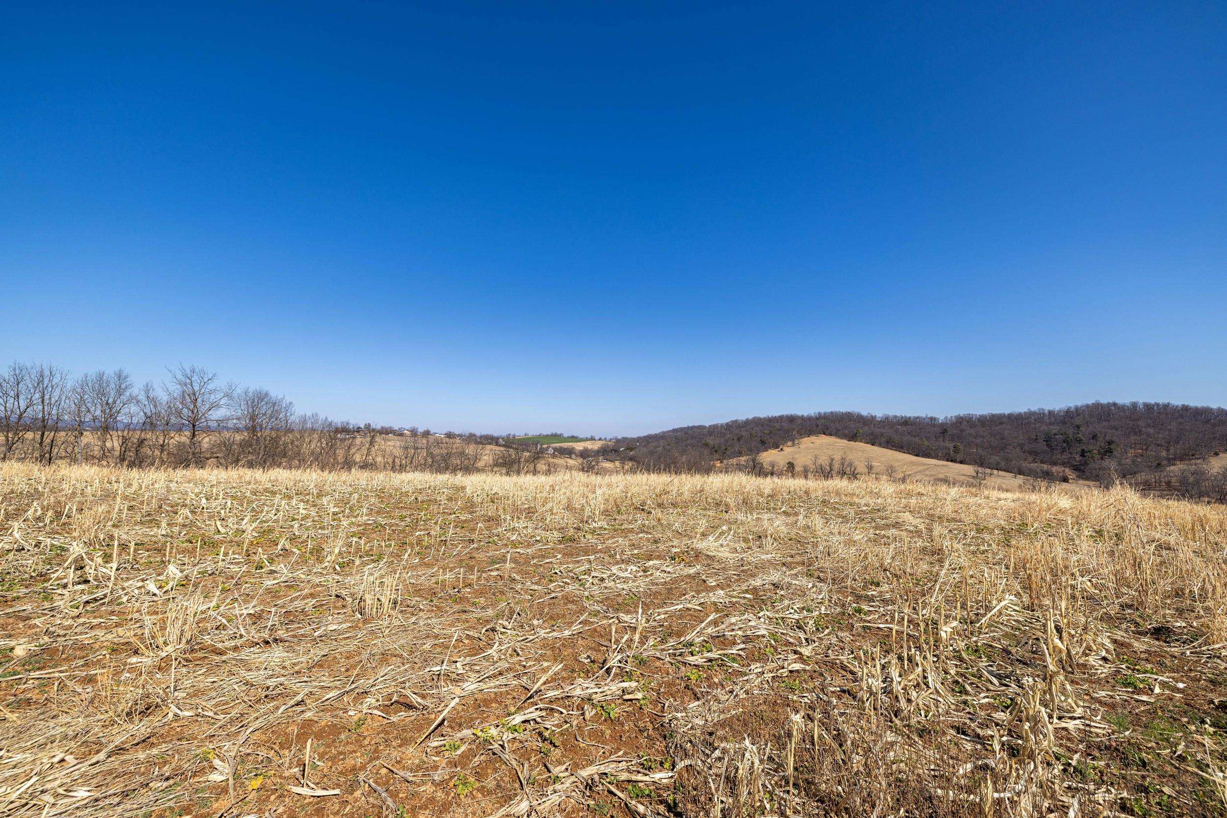 0 NEIGHBORS LN, TIMBERVILLE, Virginia 22853, ,Land,0 NEIGHBORS LN,673882 MLS # 673882