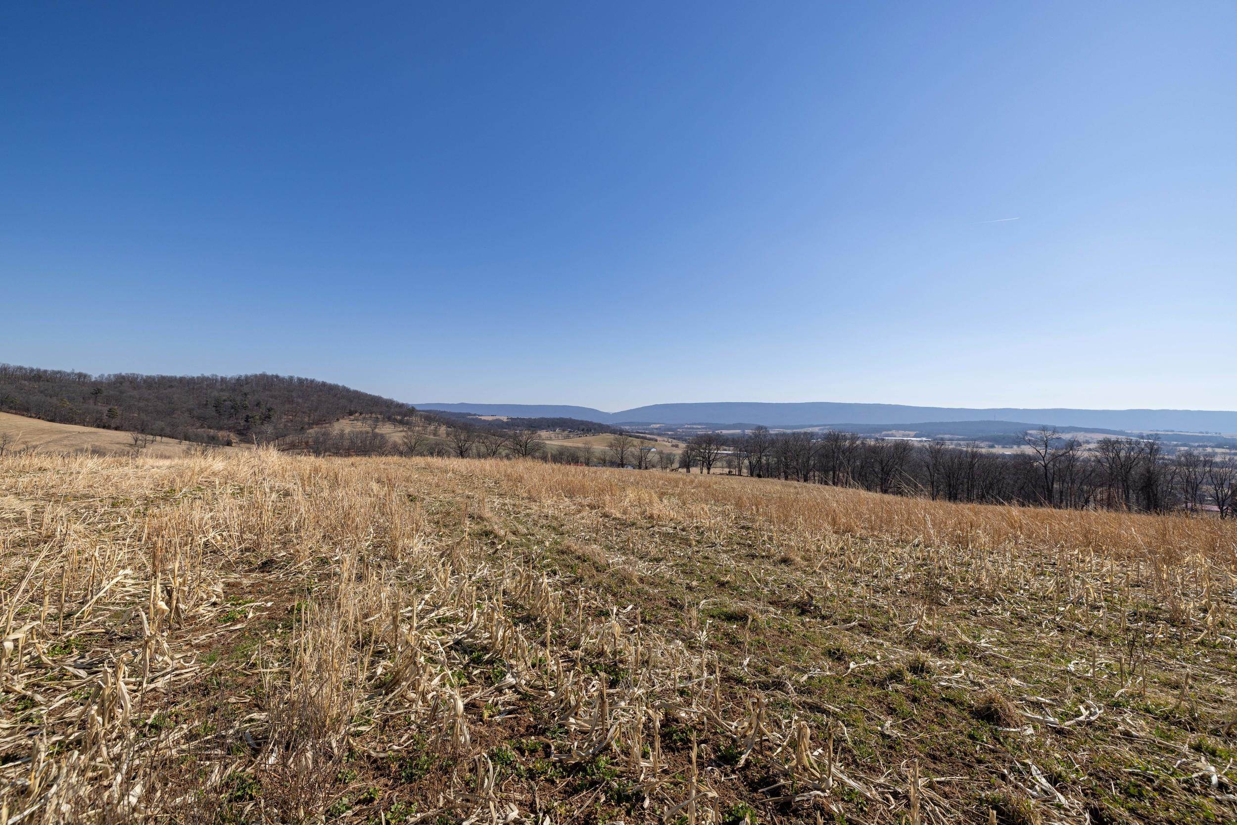 0 NEIGHBORS LN, TIMBERVILLE, Virginia 22853, ,Land,0 NEIGHBORS LN,673882 MLS # 673882