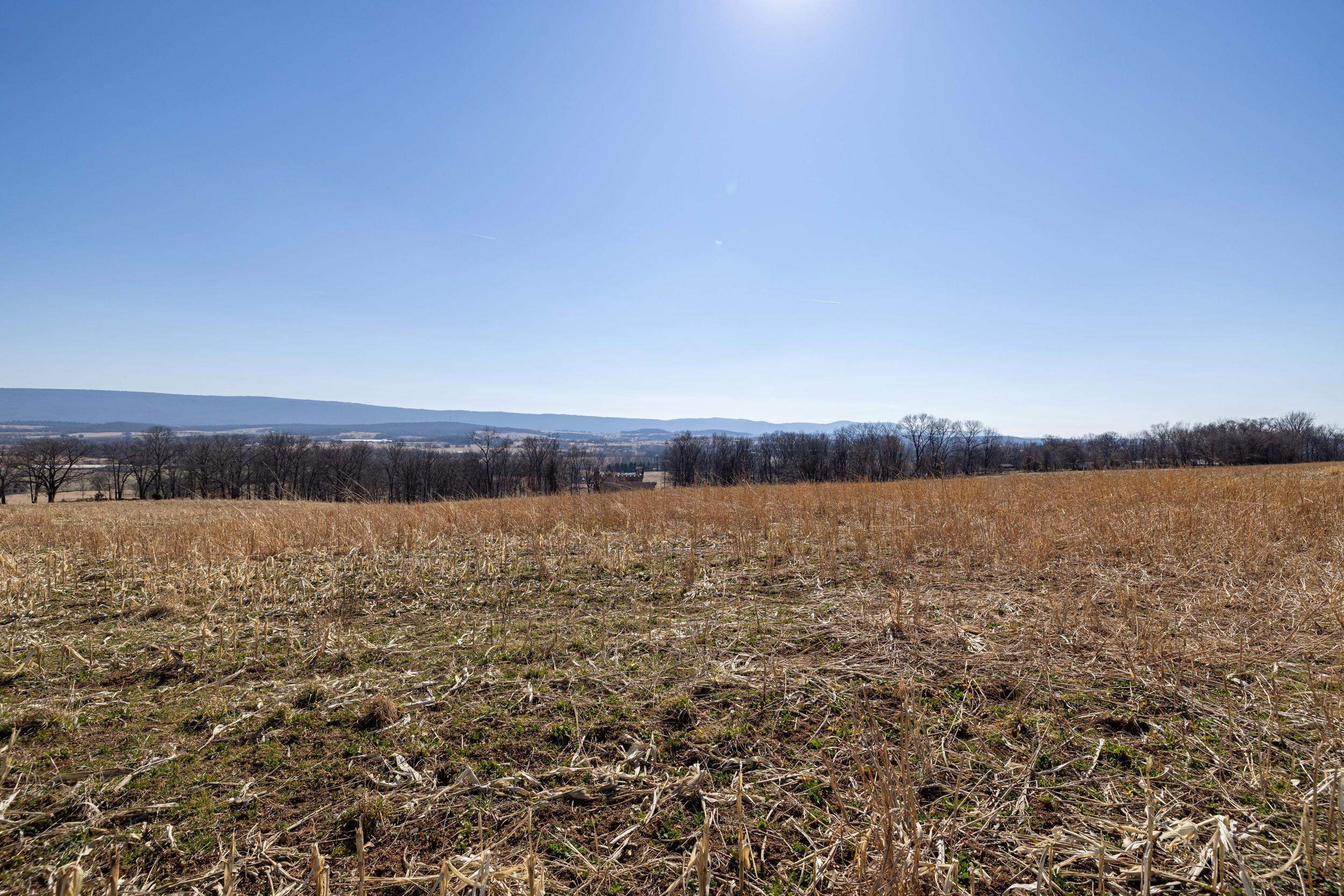0 NEIGHBORS LN, TIMBERVILLE, Virginia 22853, ,Land,0 NEIGHBORS LN,673882 MLS # 673882