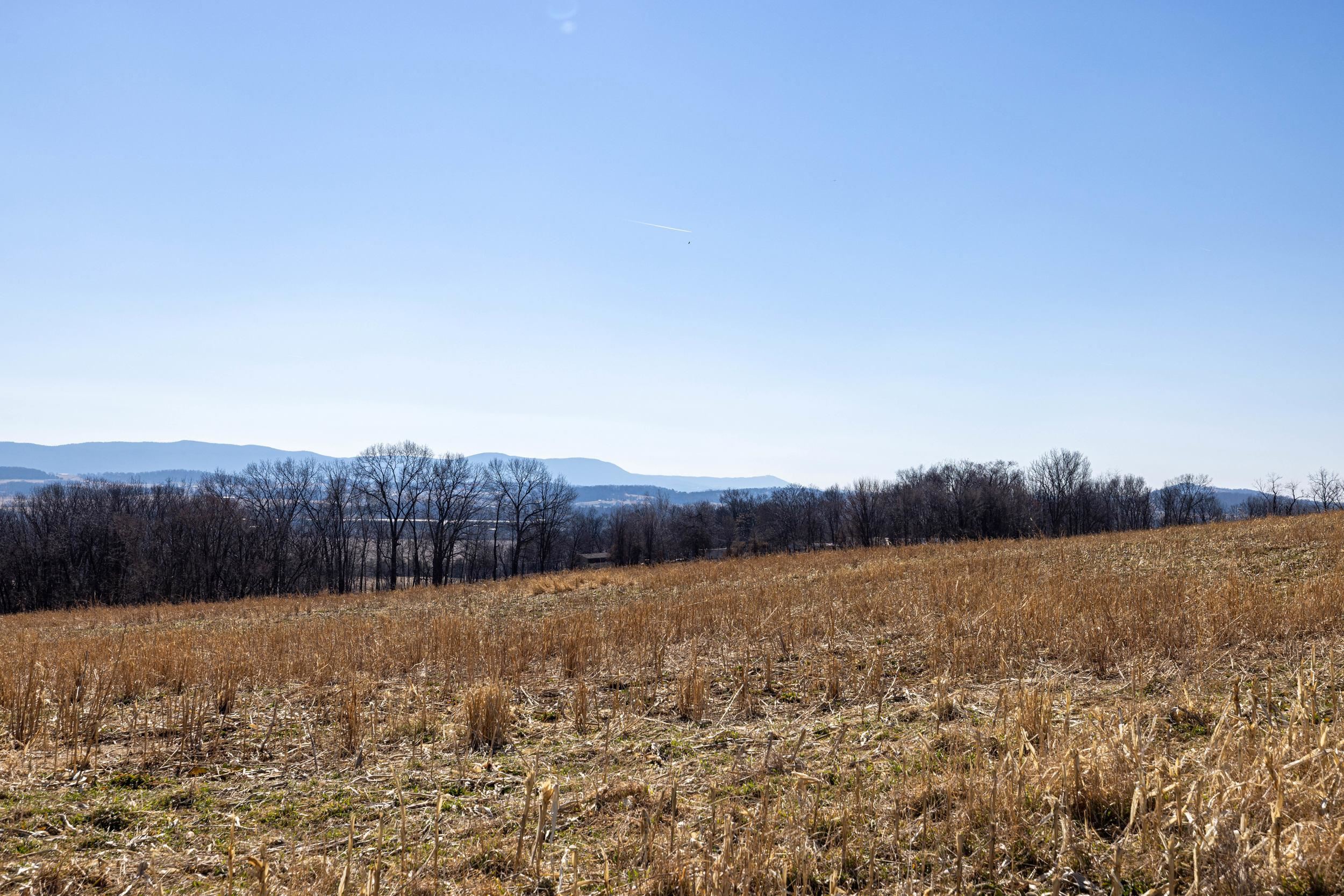 0 NEIGHBORS LN, TIMBERVILLE, Virginia 22853, ,Land,0 NEIGHBORS LN,673882 MLS # 673882