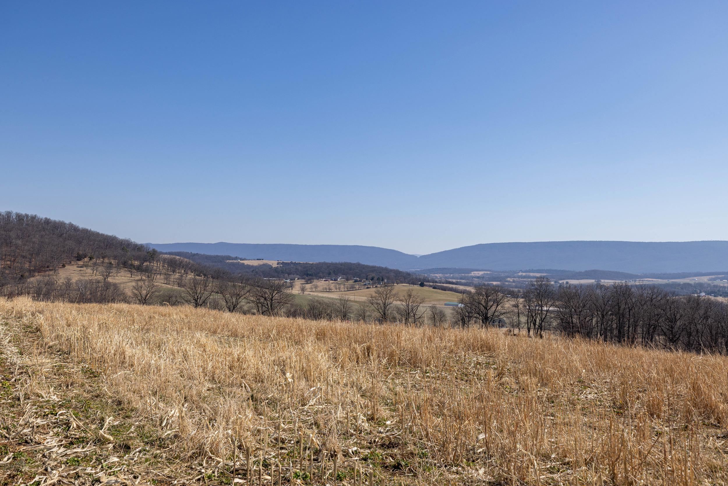 0 NEIGHBORS LN, TIMBERVILLE, Virginia 22853, ,Land,0 NEIGHBORS LN,673882 MLS # 673882